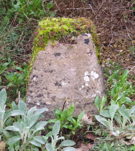 A pair of Cotswold antique staddle stones