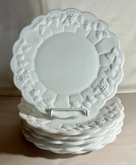 6 Westmoreland Milk Glass Paneled Grape 10 1/2" Dinner Plates