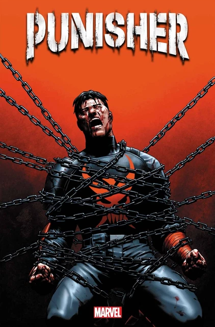 Punisher #10 - 12 You Pick Single Issues From Main & Variant Covers Marvel 2023