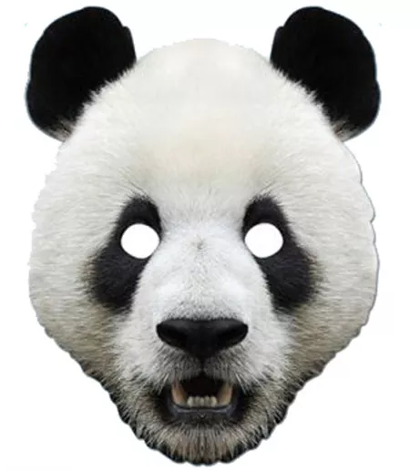 Panda Animal Single CARD 2D Party Face Mask  zoo safari jungle twoo