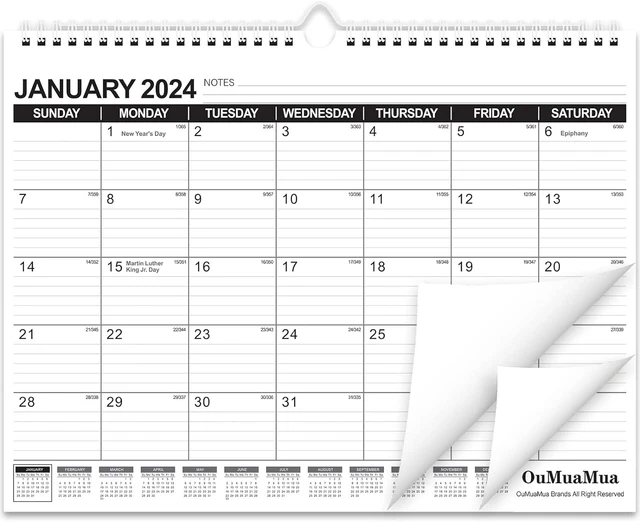 WALL CALENDAR 20242025 Monthly Calendar from January 2025 to June