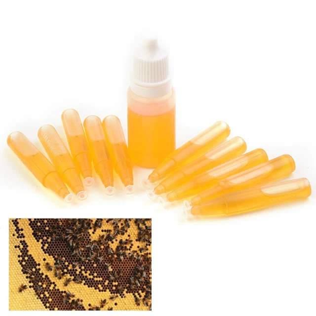 Lo último Nuevo Kit de Señuelo Atractivo Enjambre de Abejas Trampa 11 piezas/Juego Cebo Atractivo