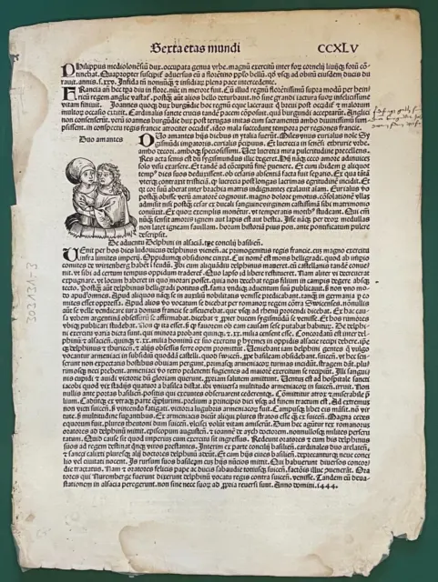 Blatt CCXLV, Schedel Weltchronik 1493 Nürnberg Liber Chronicarum, s/w