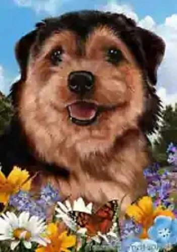 Summer House Flag - Norfolk Terrier 2 18225b
