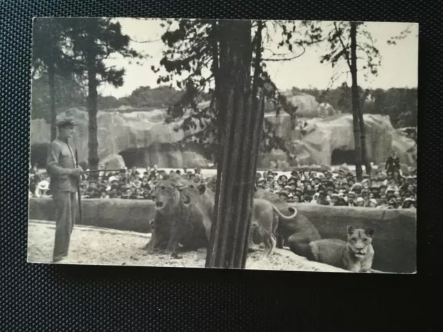 CPA 75 PARIS - Bois de Vincennes Zoological Park - Le Travail des Lions