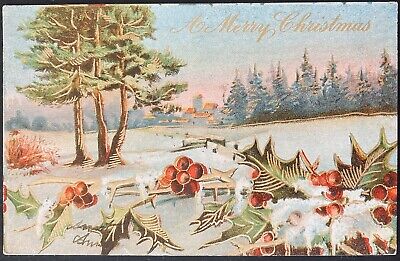 Christmas Postcard C.1908 (M38)~Embossed Snowy Holly Branches