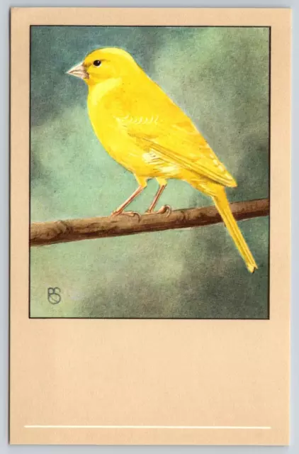 Yellow Canary Bird P. Sluis Series 7 No 84 Vtg 1960 Postcard C3