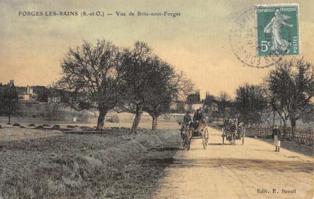 Cpa 91 Forges Les Bains Vue De Briis Sous Forges / Cpa Toilee