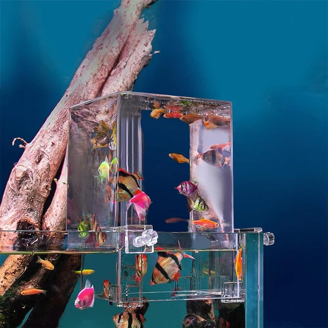 Fish Tank Auto-Refill Elevator Boosts Activity, Décor, & Negative Pressure
