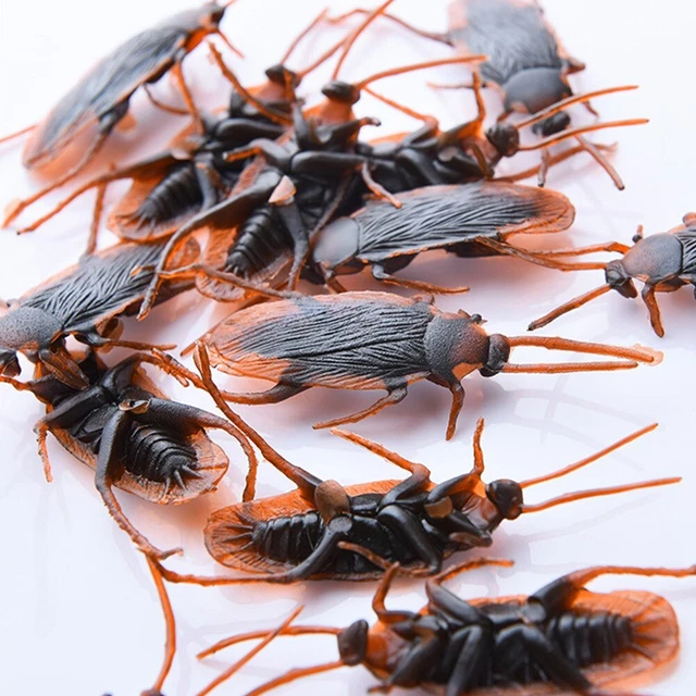 PRANK-COCKROACHES JOKE COCKROACH Bug Funny Prank Fake Cockroaches Toy ...