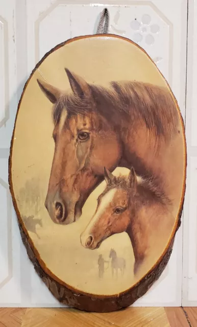 Vintage Horse Profile The Ozarks, Live Edge Wood Art Painted Glossy Wall Decor.