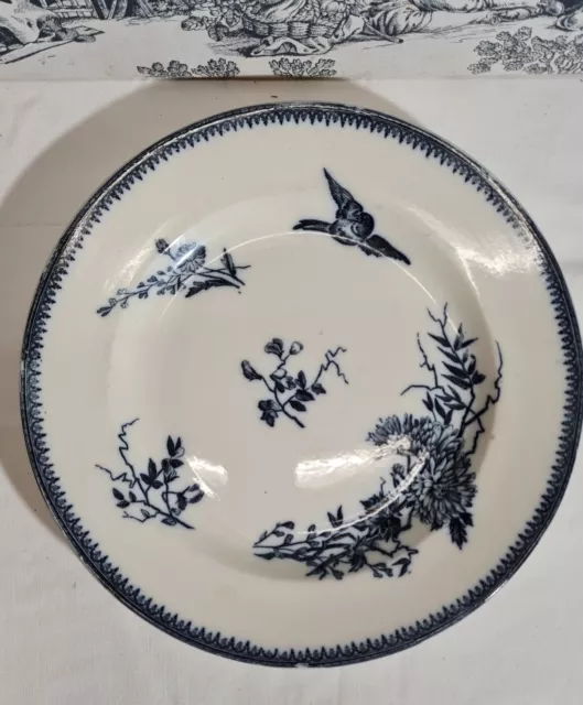 Ancien Grand Plat Terre De Fer Pexonne Ff Decor Oiseau