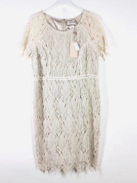 Jacques Vert Petite Cream Lace Dress UK 14