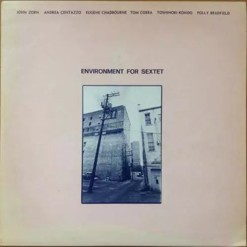 JOHN ZORN/ANDREA CENTAZZO/EUGENE CHADBOURNE: UMWELT (LP Vinyl *BRANDNEU*)