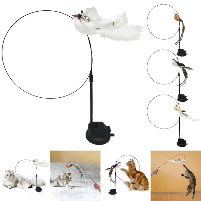 Chat interactif jouets chat Teaser long bâton gratter chat plume