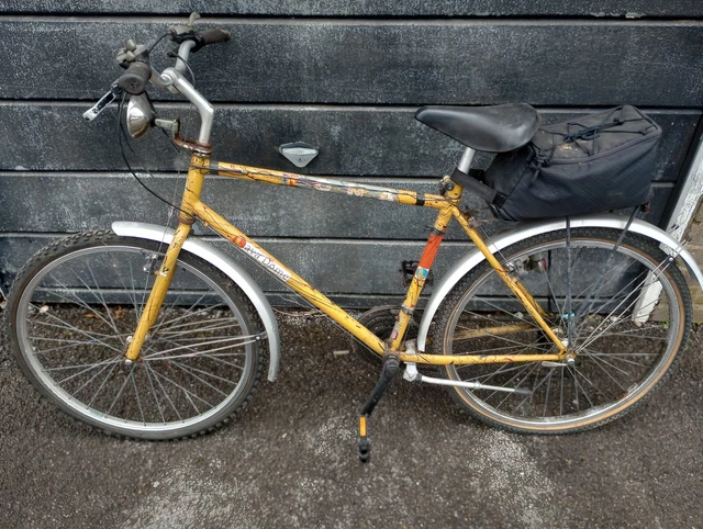 Kona lava dome 1990 cheap