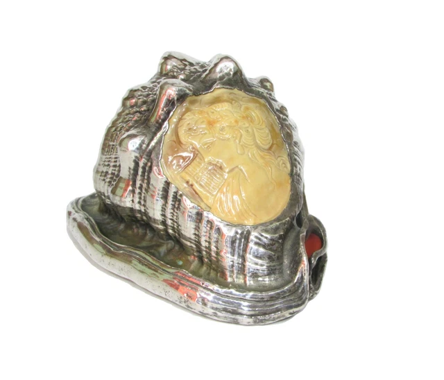 Shells Coated En 925 Plata