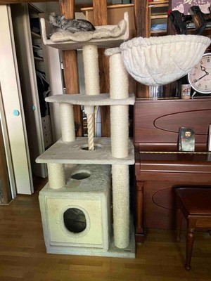 Arbre A Chat Geant Grand Chat Xxl Maine Coon Tower Gris Clair Avec Poteaux Ocm Eur 249 00 Picclick Fr