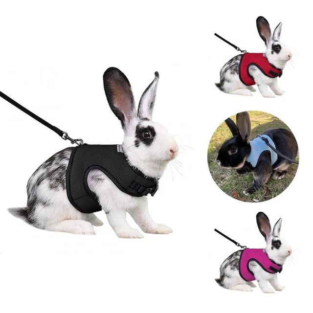Chaleco Conejo Fácilmente Ajustable Pequeño Animal Prendas de abrigo Arnés Unisex