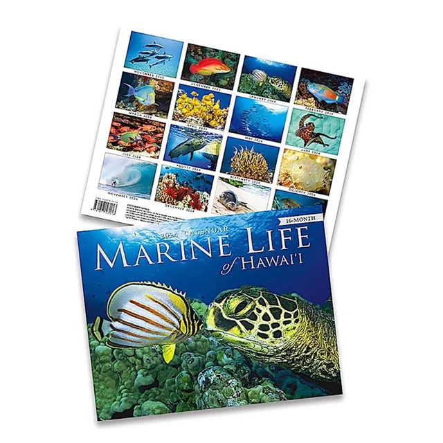 16 MONTH TRADE 2024 Calendar November 2023 February 2025 Marine Life