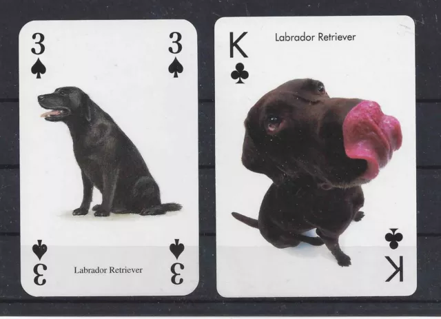 TWO Single (UK & Optical) Dog Art Photo Playing Card Cards LABRADOR RETRIEVER