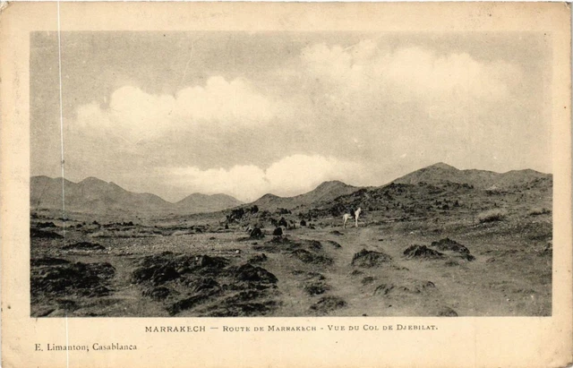 CPA AK MARRAKECH - MARRAKECH Road View from the Jebilat Pass MOROCCO (669262)