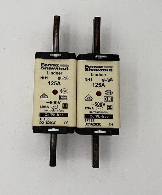 2x Ferraz Shawmut Lindner Sécurité NH1 Insert Fusible 125A 500V 120kA