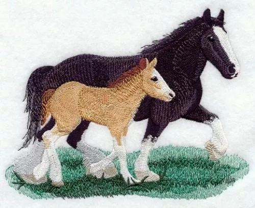 Embroidered Sweatshirt - Clydesdale Horse M1710 Sizes S - XXL
