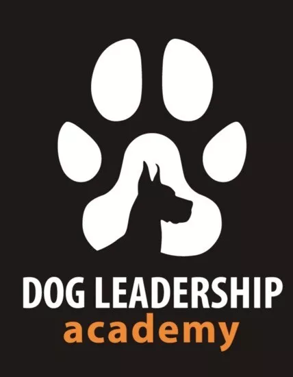 EVoucher Dog Leadership Academy, Online Treatment Plan and Face to Face