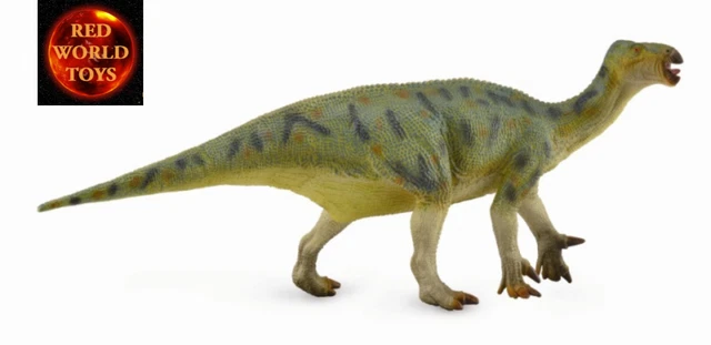 Ivory-billed Woodpecker In A Forest On - Foto 2