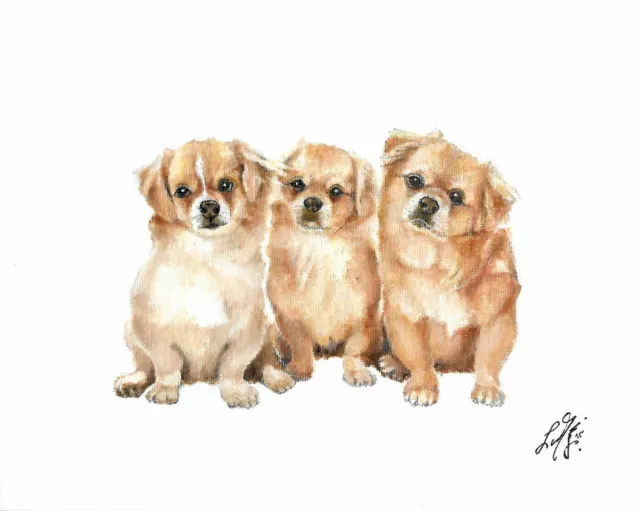 @ ORIGINAL Oil Portrait Painting TIBETAN SPANIEL Artist Signed Dog Puppy Artwork