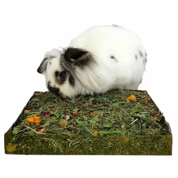 Rosewood Nibble 'n' Dig Small Animal Treat Boredom Breaker for Rabbit Guinea Pig