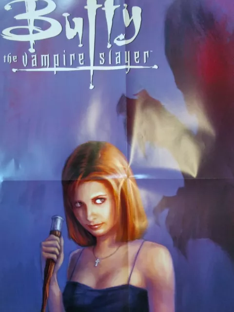 BUFFY THE VAMPIRE SLAYER Promo Poster Vtg 2002 Dark Horse Gellar Lee Rare 36x24