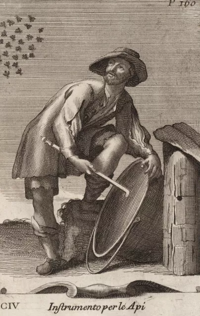 INSTRUMENT DER IMKER - Bonanni - Westerhout - Kupferstich 1716