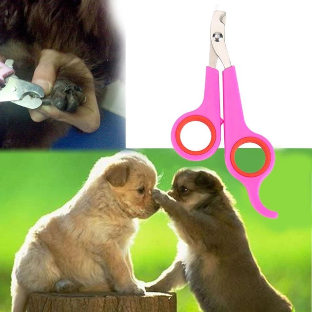 SupportsHelp forbici per unghie, acciaio inox, per cani e gatti, rosarot -de