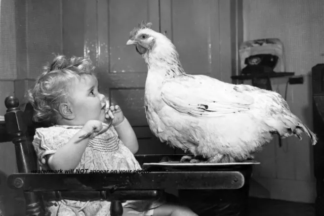 Vintage Scary Baby Chicken PHOTO Bird Freak Creepy Attack Kid Crazy Weird