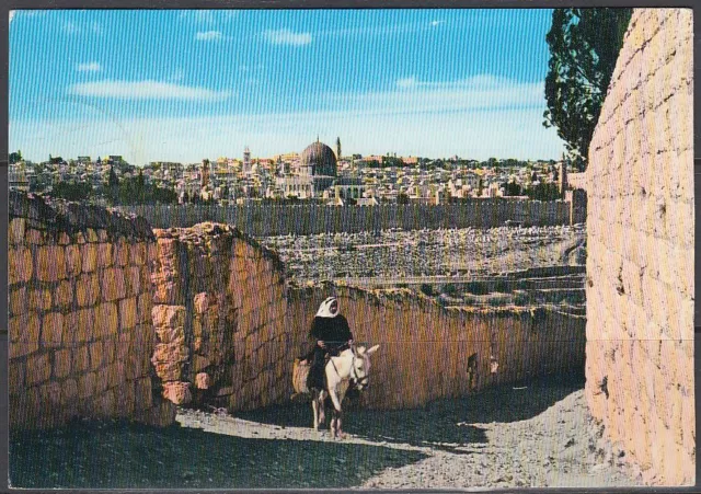 Jordanien Jordan used Post Card Postkarte Landschaft landscapeJerusalem [cm601]