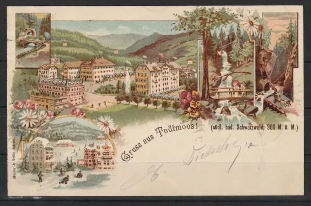 Litho AK Gruss aus Todtmoos, 1898 #1079174