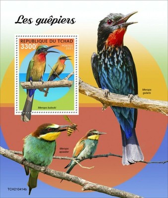 TCH210317b Francobollo Souvenir Foglio Colibri Chad 2021 Farfalla Coquette Colibri 