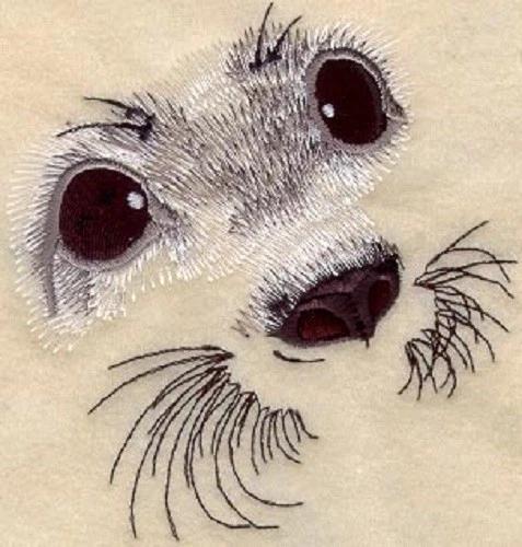 Embroidered Short-Sleeved T-Shirt - Baby Harp Seal Eyes M1278 Sizes S - XXL