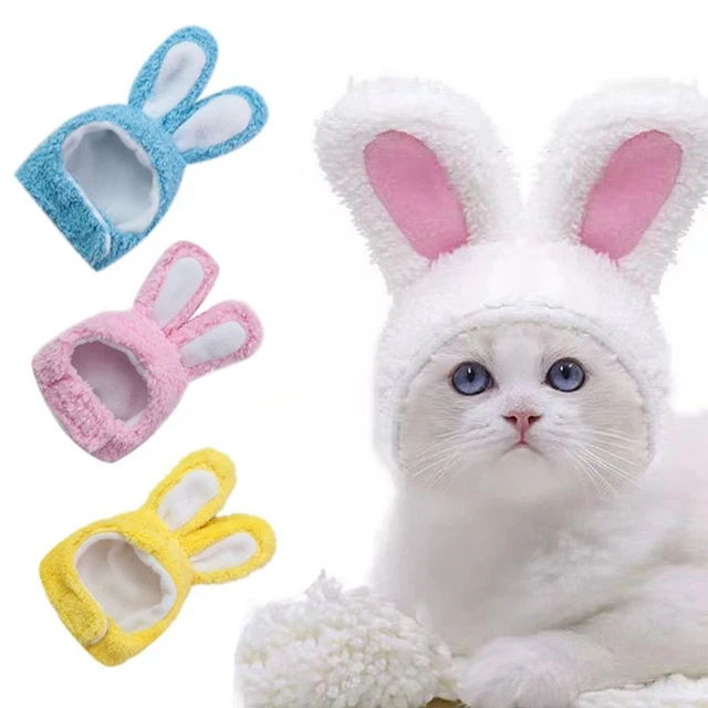 de compagnie Bunny Chapeaux Petits Chiens Accessoire pour animaux de compagnie