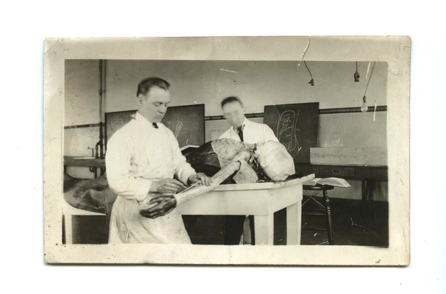 Antique / Vintage Photo Medical Students & Dissection of Cadaver Autopsy Creepy