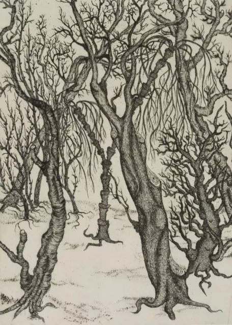 OSTEN-SACKEN (20.Jhd), Altes Gehölz, Bäume im Winter, um 1940, Rad. Gegenständli