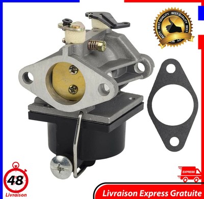 Tecumseh Extérieur Air Filtres Jardin Set de Rechange for Tecumseh 5.5HP LEV100 TVS115 