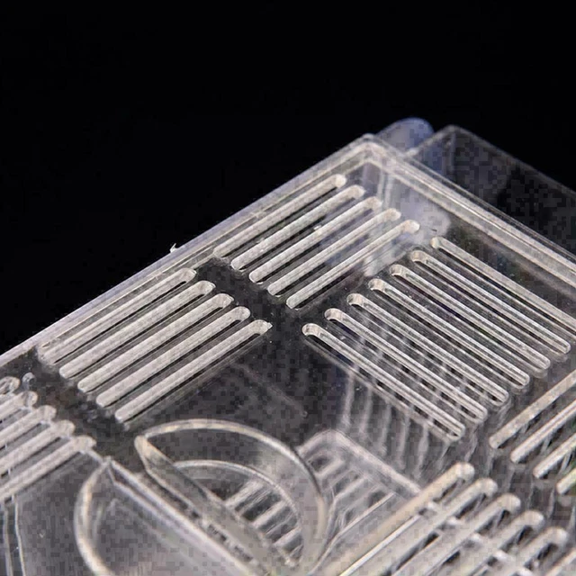 Aquarium Fish Tank Guppy Double Breeding Breeder, Der X6K0 7Y9I Clear U2G2 A9E7 6