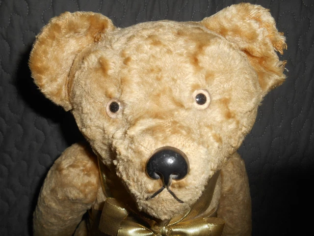 Ours Ancien CYRIL 60 Cm – Fauve, Yeux En Verre – Farfait état – Vintage