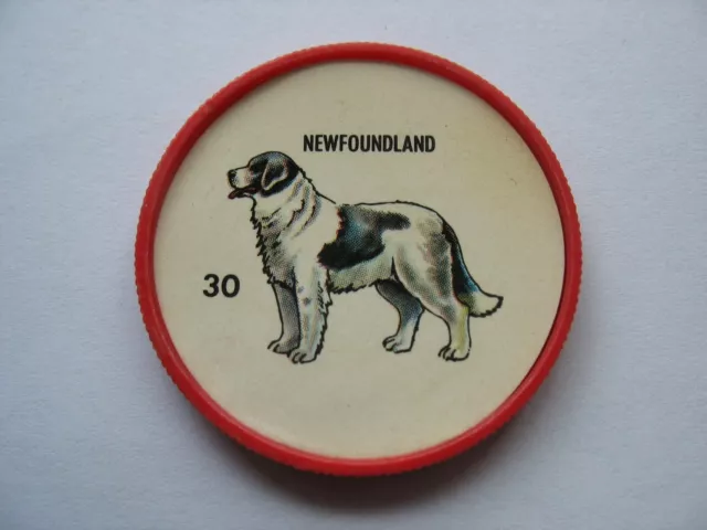 Dog Coin - Newfoundland