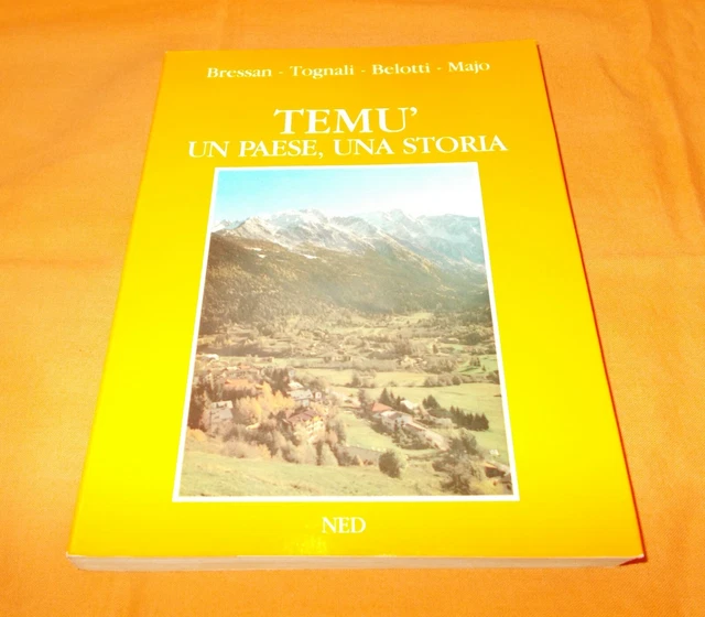 TEMÙ UN PAESE una storia bressan tognali belotti majo 1987 EUR 17,00 PicClick IT