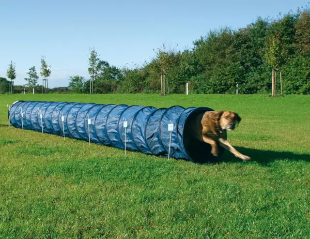 Dog Activity Agility Basic Tunnel, 60 Cm ﾗ 5 M, Blue