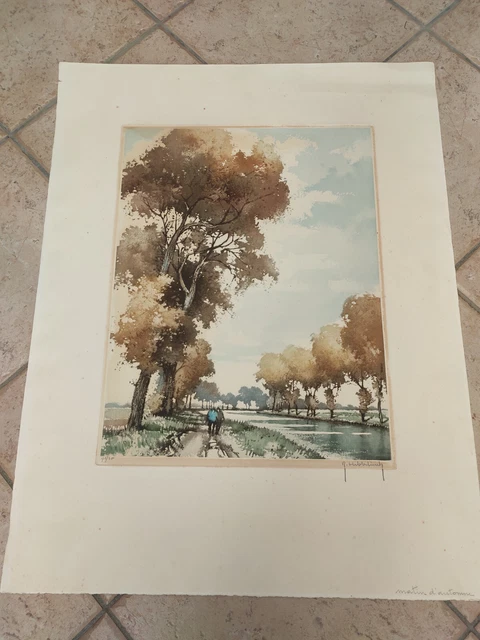lithographie  roger Hebbelinck gravure eau forte signé n°172/350  form 43/53cm